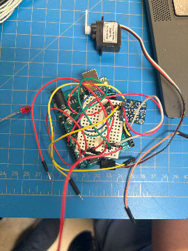 Still capture review on-site